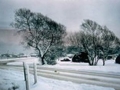 site2-13.jpg