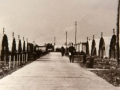 site6-6.jpg